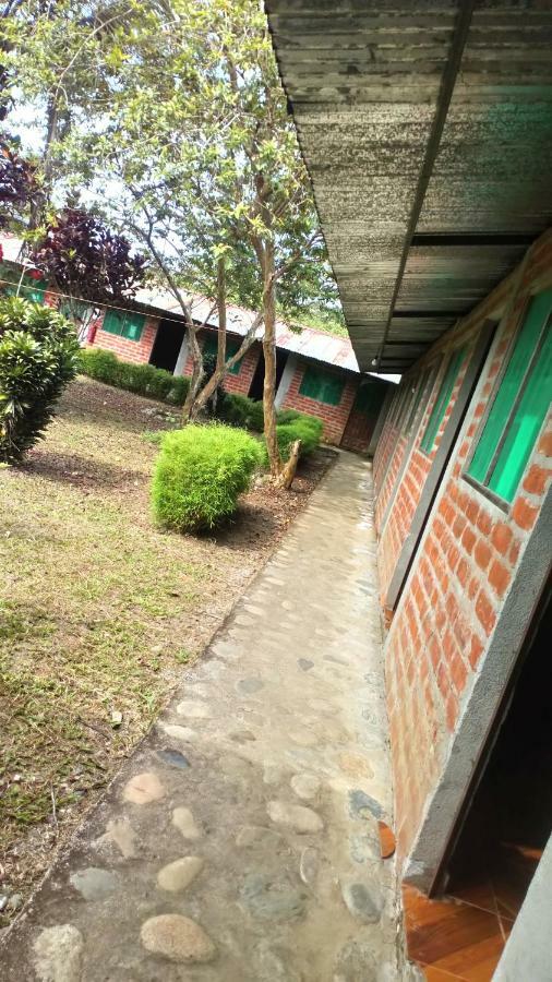 Cabañas Victoria Albergue Puerto Misahuallí Exterior foto